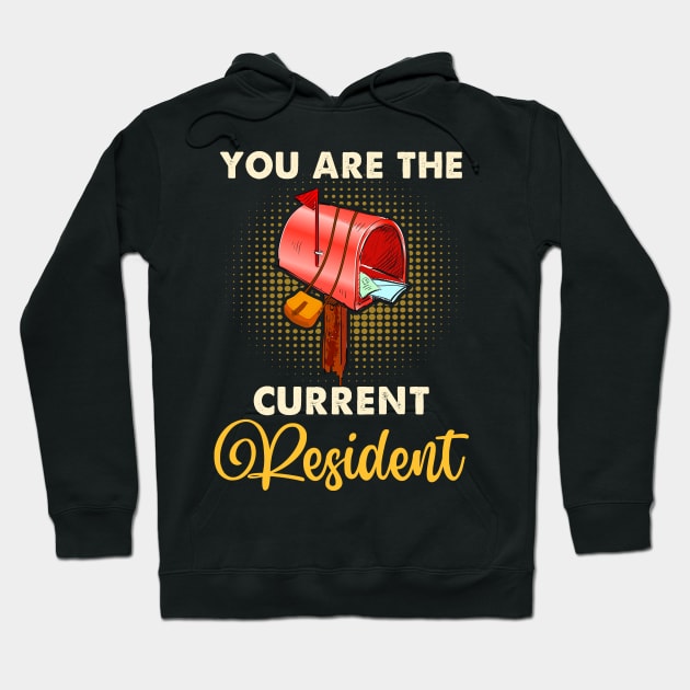 You Are The Current Resident Shirt Funny Postal Workers Hoodie by Xonmau